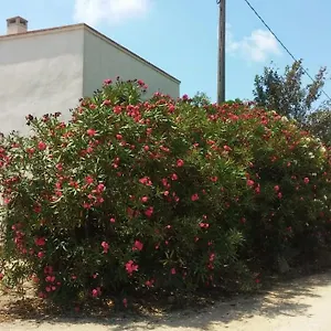 Сasa de vacaciones Pequena En El Centro Del Delta Del Ebro, Amposta